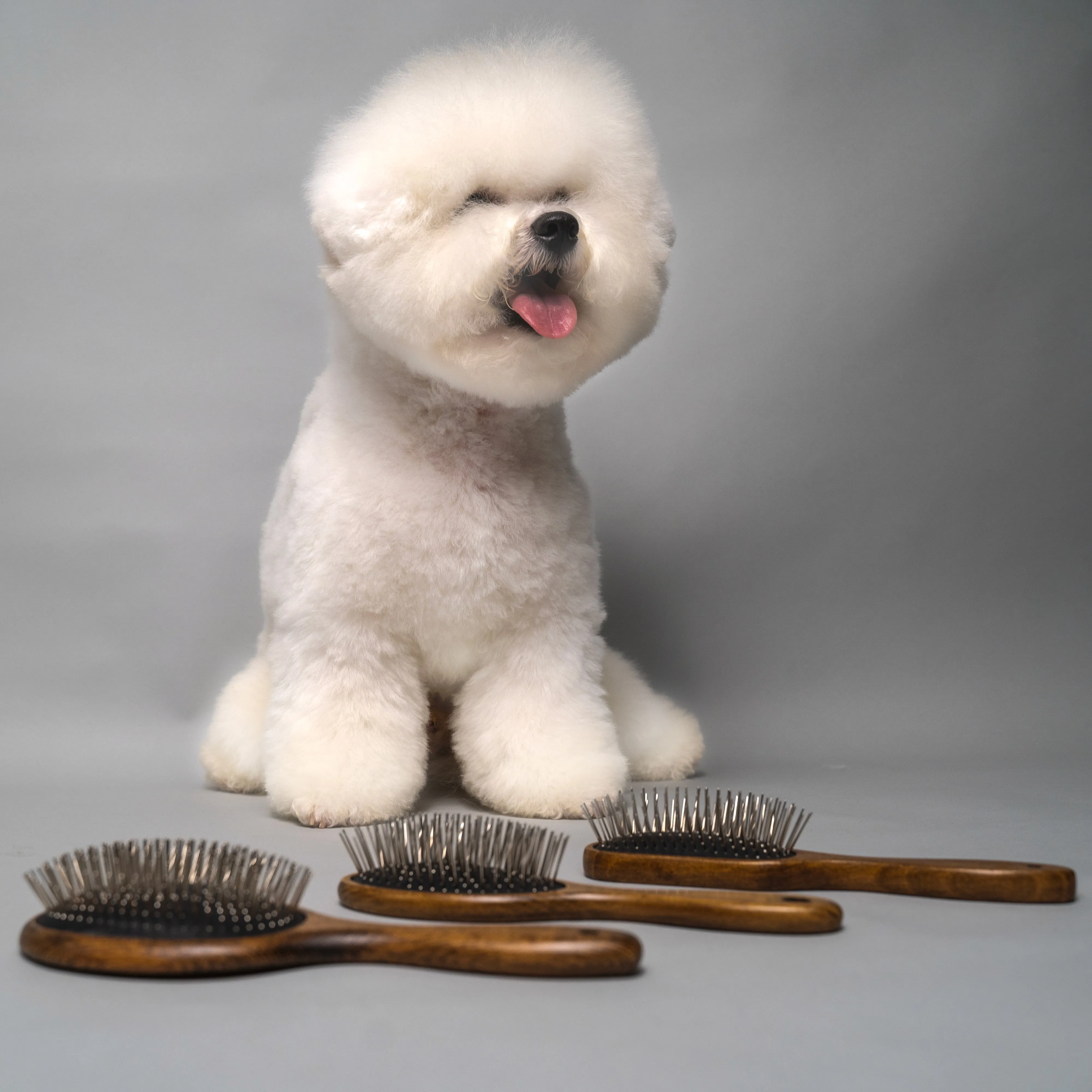 Tauro Pro Line Wooden Massage Oblong Dog & Cat Brush For All Hair Type To Improve Circulation And Promote Healthy Hair Growth